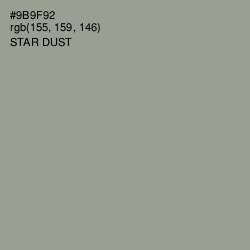 #9B9F92 - Star Dust Color Image